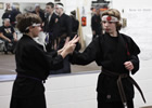 Aiki Jutsu
